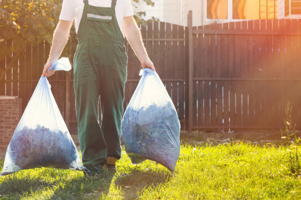 Best Furniture Removal  in Leisure City, FL